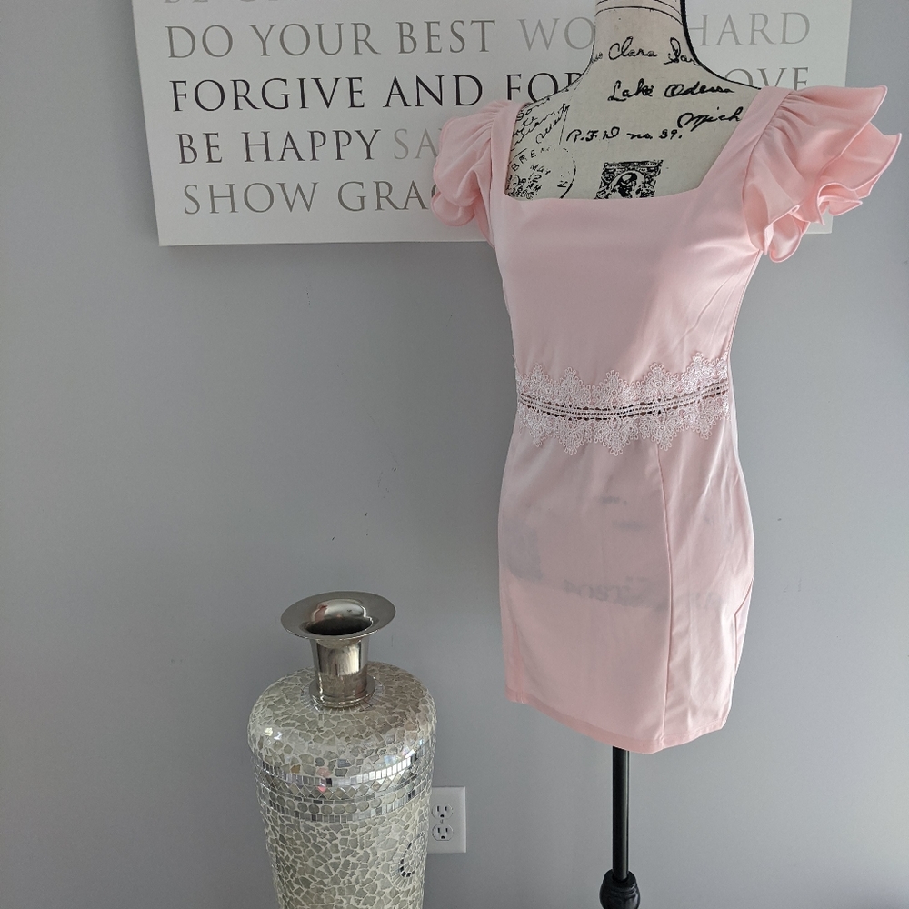Brand new knee length pink dress with lace trim.